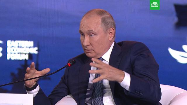 Путин: Россия не заинтересована в дезинтеграции Афганистана.Афганистан, Путин, Талибан.НТВ.Ru: новости, видео, программы телеканала НТВ