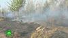 В Тольятти за поимку поджигателя леса объявили награду в 500 тысяч рублей