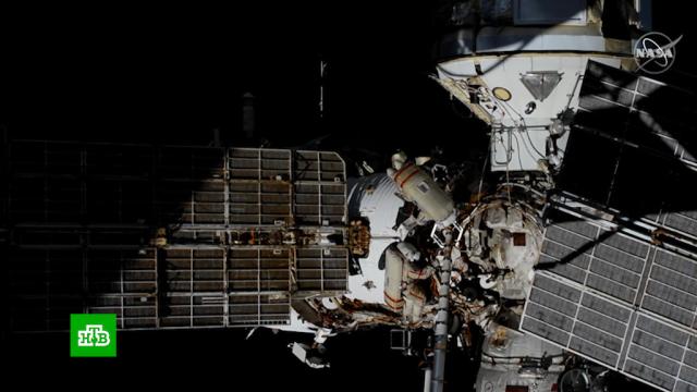 Космонавты подключили модуль «Наука» к локальной сети МКС.МКС, Роскосмос, космонавтика, космос.НТВ.Ru: новости, видео, программы телеканала НТВ