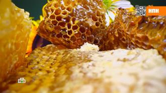 Мед: о каких опасных компонентах молчат пчеловоды