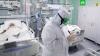 В РФ - новый антирекорд смертности от коронавируса
