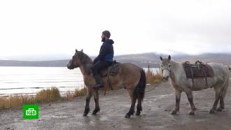 Британец отправился в кругосветку на якутских лошадях 