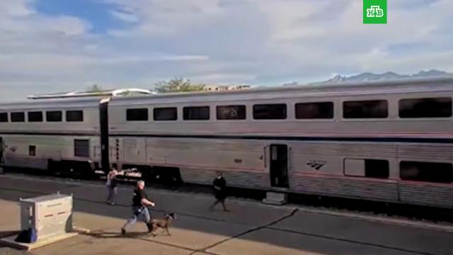 Полиция со стрельбой штурмовала пассажирский поезд в Тусоне.США, железные дороги, поезда, полиция, стрельба, убийства и покушения.НТВ.Ru: новости, видео, программы телеканала НТВ