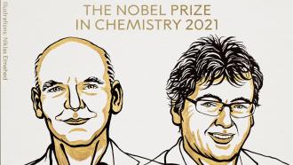 Нобелевскую премию по химии присудили ученым Листу и Макмиллану