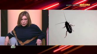 Актриса Татьяна Васильева пыталась избавиться от тараканов и стала жертвой мошенников