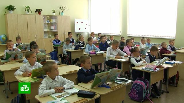 Зачем власти Москвы начинают эксперимент по тестированию на COVID-19 в школах.Москва, болезни, дети и подростки, коронавирус, эпидемия.НТВ.Ru: новости, видео, программы телеканала НТВ