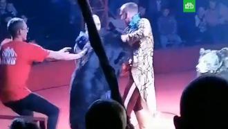 Медведь напал на беременную женщину на арене цирка в Орле