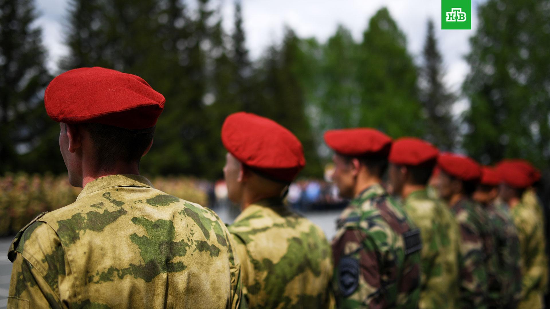 Цвет крапового берета. Спецназ ВВ краповый берет. Краповики спецназа Витязь.