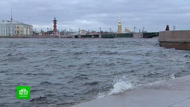Атлантический циклон принесет в Петербург шторм и наводнение.Санкт-Петербург, наводнения, погода, штормы и ураганы.НТВ.Ru: новости, видео, программы телеканала НТВ