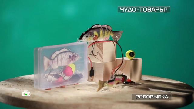 Роботизированная рыбка-приманка и водородное мыло против старения.НТВ, изобретения, инновации, наука и открытия, технологии.НТВ.Ru: новости, видео, программы телеканала НТВ