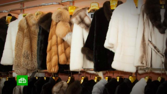 В России упал спрос на шубы.одежда, торговля, экономика и бизнес.НТВ.Ru: новости, видео, программы телеканала НТВ