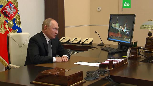Путин выступил с видеообращением на саммите в Глазго.Путин, климат, лес, экология.НТВ.Ru: новости, видео, программы телеканала НТВ