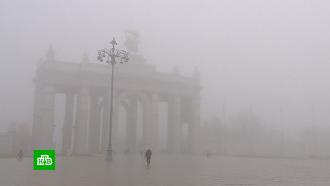 Туман в Москве стал самым популярным запросом в Сети