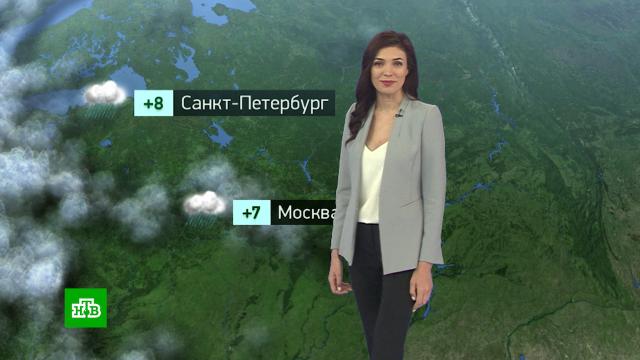 Утренний прогноз погоды на 3 ноября.погода, прогноз погоды.НТВ.Ru: новости, видео, программы телеканала НТВ