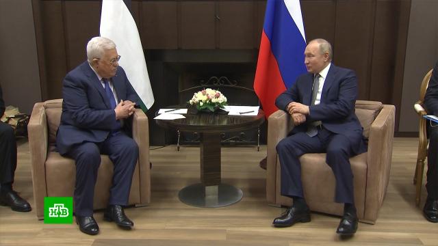 Путин и Аббас обсудили ситуацию на Ближнем Востоке.Палестина, Путин, Сочи, дипломатия, коронавирус, переговоры.НТВ.Ru: новости, видео, программы телеканала НТВ