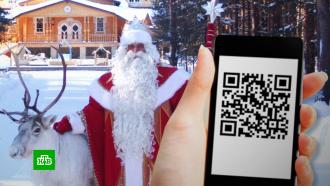 Антиковидные ограничения для Деда Мороза ввели в Вологодской области