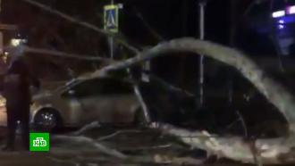 Число пострадавших от штормового ветра в Крыму выросло до 6