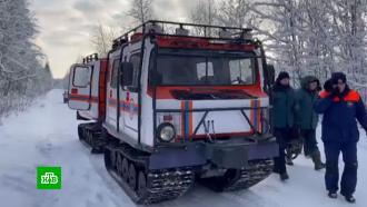 Более трех тысяч жителей Новгородской области остаются без света <nobr>из-за</nobr> снегопада