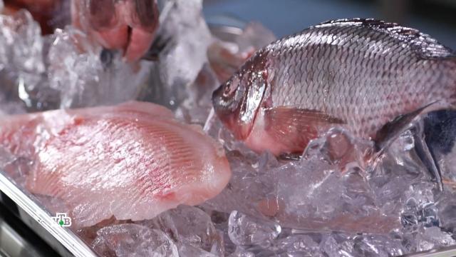 Рыбка из бочки: в чем польза селедки.НТВ.Ru: новости, видео, программы телеканала НТВ
