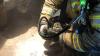 Пожарные оживили надышавшуюся дымом кошку: видео