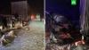 Под Ростовом автобус влетел в грузовик: 3 человека погибли 