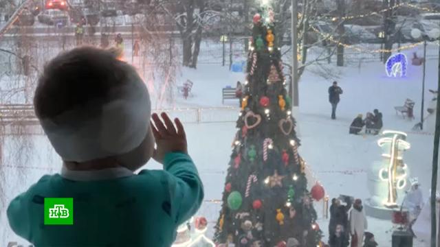 Деды Морозы спустились с крыши белгородской больницы и поздравили маленьких пациентов.Дед Мороз, Новый год, больницы, дети и подростки, торжества и праздники.НТВ.Ru: новости, видео, программы телеканала НТВ