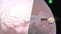 «С Новым годом с Марса!»: Китай опубликовал серию снимков Красной планеты Китай, Марс, космос, наука и открытия.НТВ.Ru: новости, видео, программы телеканала НТВ
