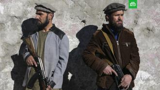 Талибы приказали владельцам магазинов обезглавить манекены