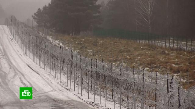 Польша заключила контракты на строительство забора на границе с Белоруссией.Белоруссия, Польша, граница, мигранты.НТВ.Ru: новости, видео, программы телеканала НТВ