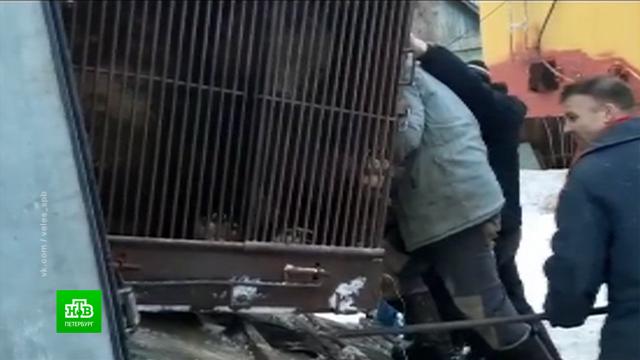   «»  ,     . , , ..Ru: , ,   