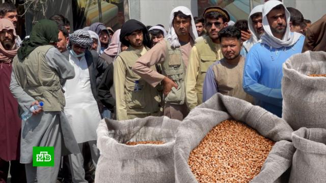 Афганские власти расширяют программу «Еда в обмен на работу» на всю страну.Афганистан, гуманитарная помощь, зарплаты, экономика и бизнес.НТВ.Ru: новости, видео, программы телеканала НТВ