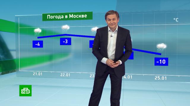 Утренний прогноз погоды на 21 января.погода, прогноз погоды.НТВ.Ru: новости, видео, программы телеканала НТВ