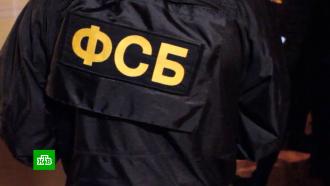 Предполагаемого лидера хакерской группировки арестовали в Москве