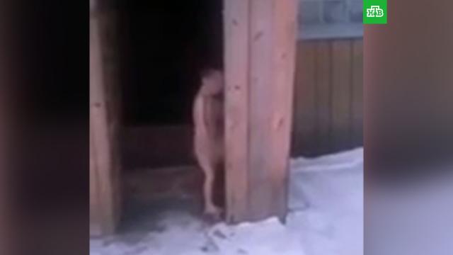 На Алтае родители выгнали ребенка голым на улицу в 20-градусный мороз.Алтайский край, дети и подростки.НТВ.Ru: новости, видео, программы телеканала НТВ