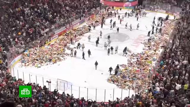 Фанаты команды Hershy Bears выбросили на лед 52 тысячи плюшевых мишек.США, игры и игрушки, хоккей.НТВ.Ru: новости, видео, программы телеканала НТВ