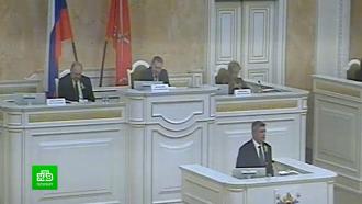 Зарплату дворникам и поправки в закон об иноагентах: о чем говорили депутаты на заседании в Петербурге
