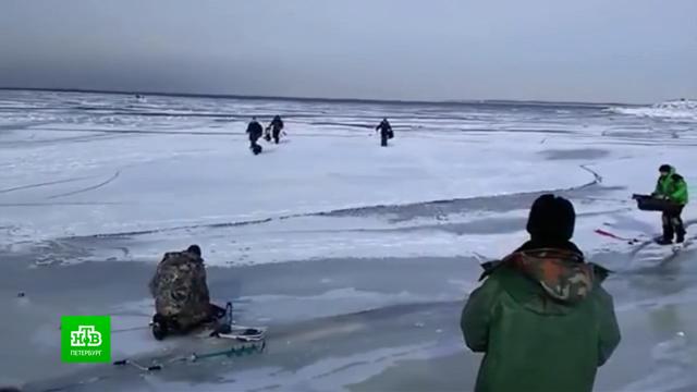 В Финском заливе 15 рыбаков были спасены с треснувшей льдины.Ленинградская область, МЧС, Финский залив, охота и рыбалка.НТВ.Ru: новости, видео, программы телеканала НТВ