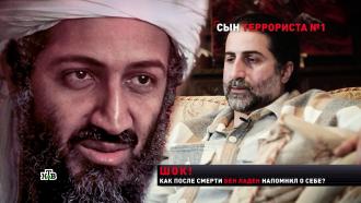 «Они пришли, чтобы убить моего отца»: сын бен Ладена о смерти террориста №1