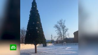 В Сибири мэр города написал заявление в полицию на недовольного новогодней елкой блогера