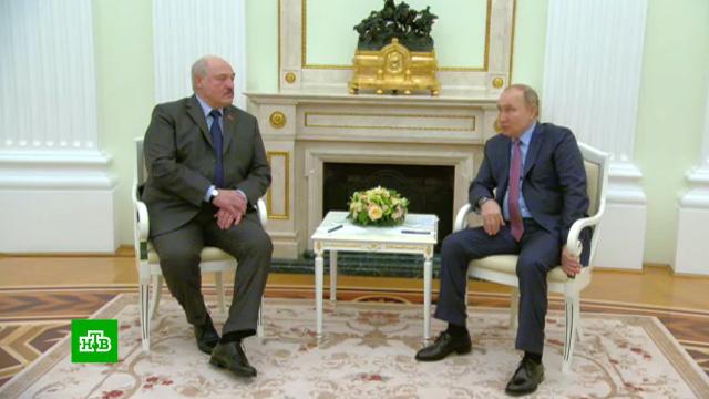 «Рад немного разбавить западную элиту»: Лукашенко пошутил о своем визите в Москву.Белоруссия, Лукашенко, Путин, Украина, армии мира, переговоры, учения.НТВ.Ru: новости, видео, программы телеканала НТВ