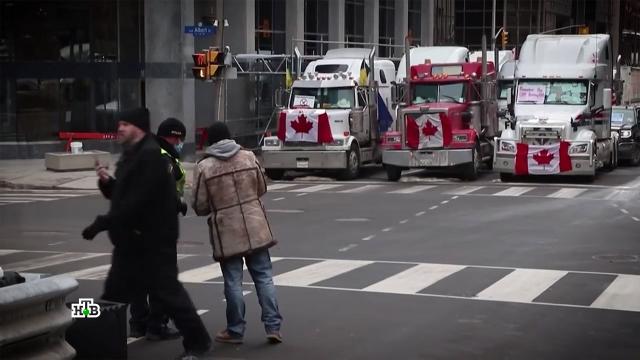 «Государство не выпустит из рук этот контроль»: почему протестуют канадские дальнобойщики.Европа, Канада, США, коронавирус, митинги и протесты, эпидемия.НТВ.Ru: новости, видео, программы телеканала НТВ