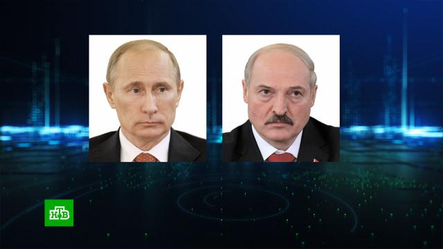 Путин и Лукашенко обсудили спецоперацию на Украине.Белоруссия, Лукашенко, Путин, Украина, переговоры.НТВ.Ru: новости, видео, программы телеканала НТВ