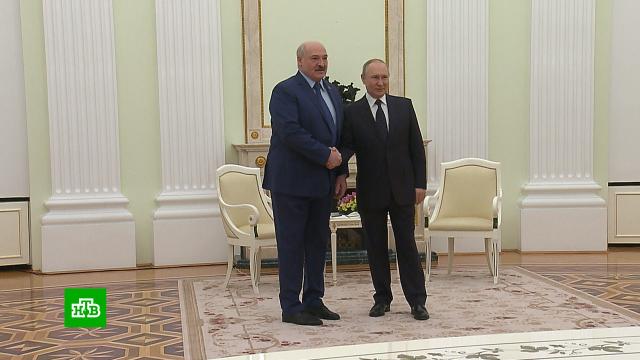 Путин рассказал Лукашенко о позитивном сдвиге в переговорах с Украиной.Белоруссия, Лукашенко, Путин, Украина, переговоры.НТВ.Ru: новости, видео, программы телеканала НТВ