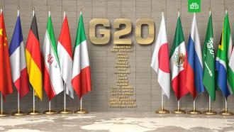 В Кремле ответили на призывы исключить Россию из G20