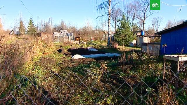 ����� ������ ������� �����������-�������� � ����������.�����-���������, ����.���.Ru: �������, �����, ��������� ���������� ���