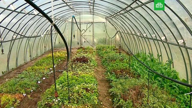 �&nbsp;���������� ��������� ������� ����� ���������� �������.������������� �������, �����-���������, ����, ��������.���.Ru: �������, �����, ��������� ���������� ���