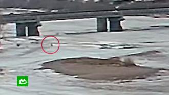 Записывали видео, гуляя по тонкому льду: под Красноярском ищут утонувших в реке девочек
