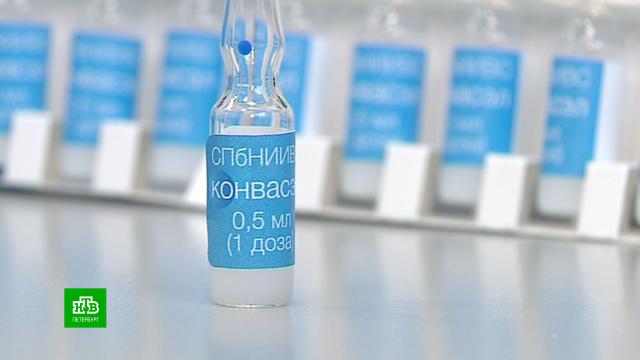 Петербургские ученые создали новую вакцину от ковида «Конвасэл».Санкт-Петербург, вакцинация, коронавирус.НТВ.Ru: новости, видео, программы телеканала НТВ