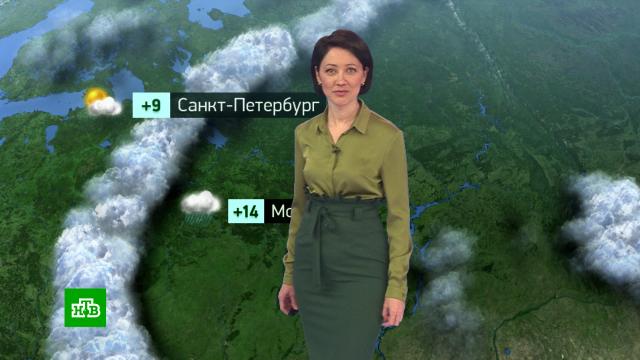 Утренний прогноз погоды на 12 апреля. погода, прогноз погоды. НТВ.Ru: новости, видео, программы телеканала НТВ