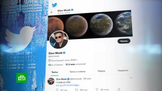 Илон Маск заявил о готовности купить 100% акций Twitter 